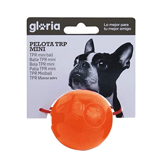 ΠΑΙΧΝΙΔΙ ΣΚΥΛΟΥ -...