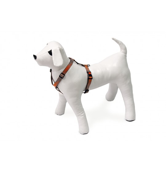 ΟΛΟΣΩΜΟ nylon KARLIE  Art...