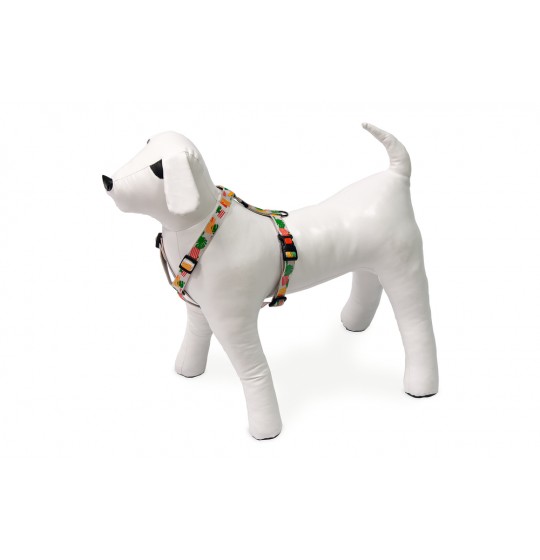 ΟΛΟΣΩΜΟ nylon KARLIE  Art...