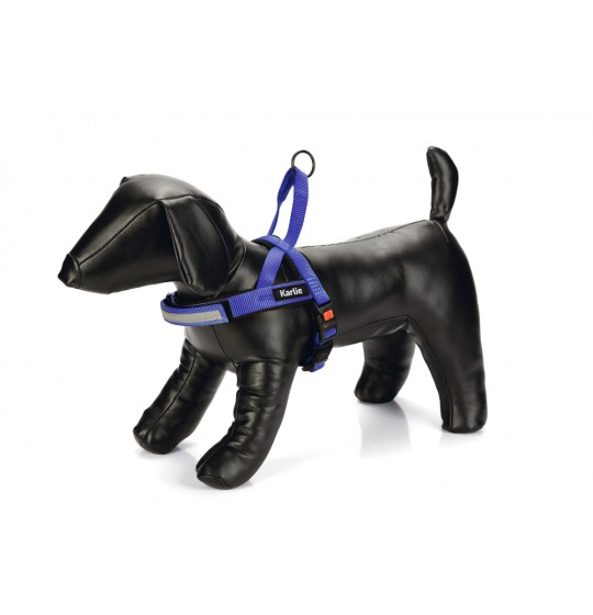 ΣΑΜΑΡΑΚΙ nylon KARLIE Art...