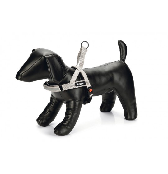 ΣΑΜΑΡΑΚΙ nylon KARLIE Art...