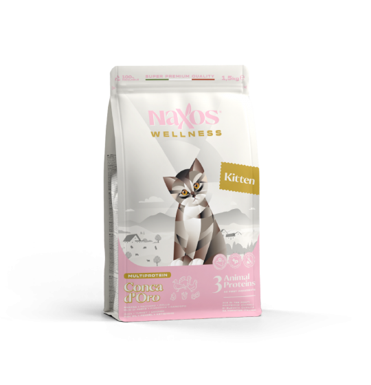 NAXOS KITTEN Conca d'oro...